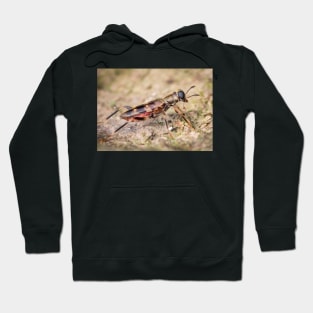 A checkered beetle (Cleridae) Hoodie